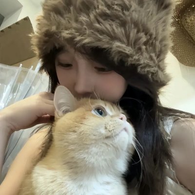 猫咪后院之家